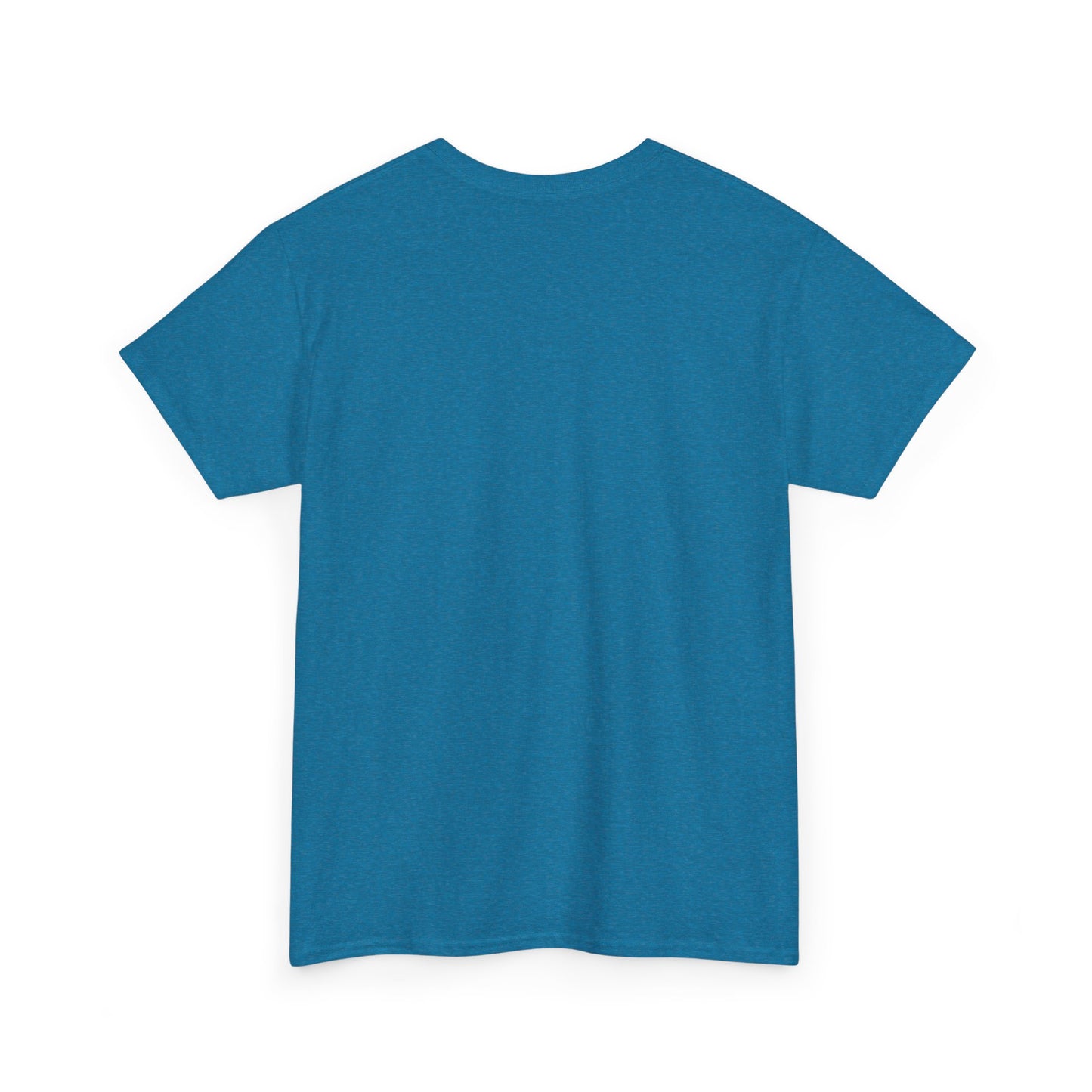 Wish Upon a Whiskey Tee, Musician Gift, Concert Shirt, Birthday Present, Casual Wear