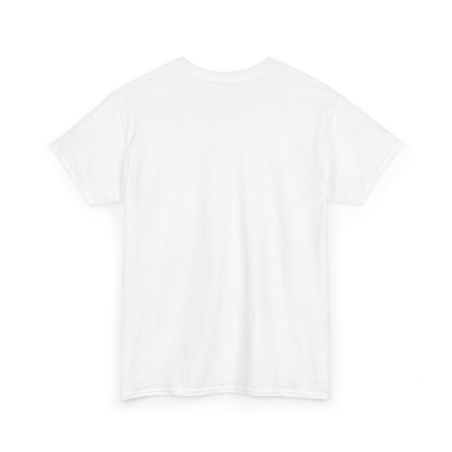 Wish Upon a Whiskey Tee, Musician Gift, Concert Shirt, Birthday Present, Casual Wear
