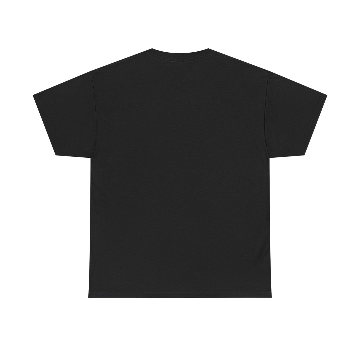 Wish Upon a Whiskey Tee, Musician Gift, Concert Shirt, Birthday Present, Casual Wear