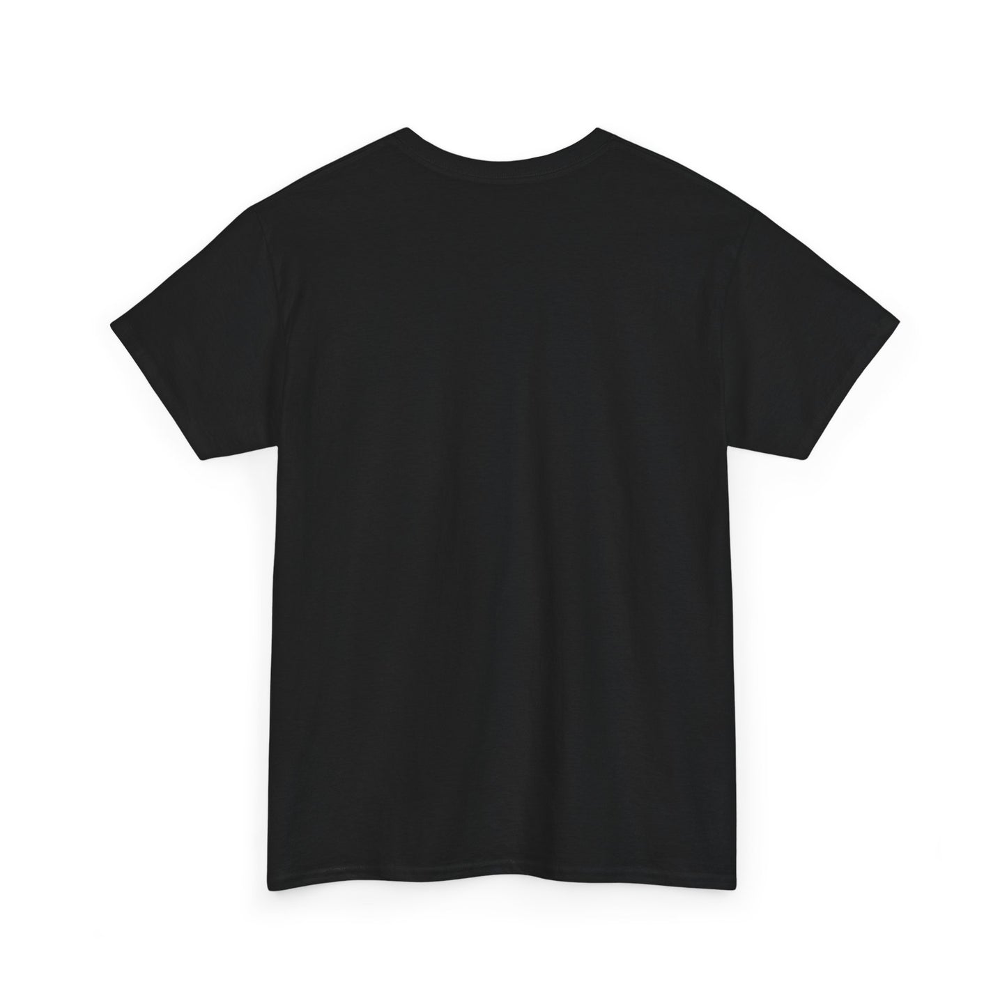Wish Upon a Whiskey Tee, Musician Gift, Concert Shirt, Birthday Present, Casual Wear