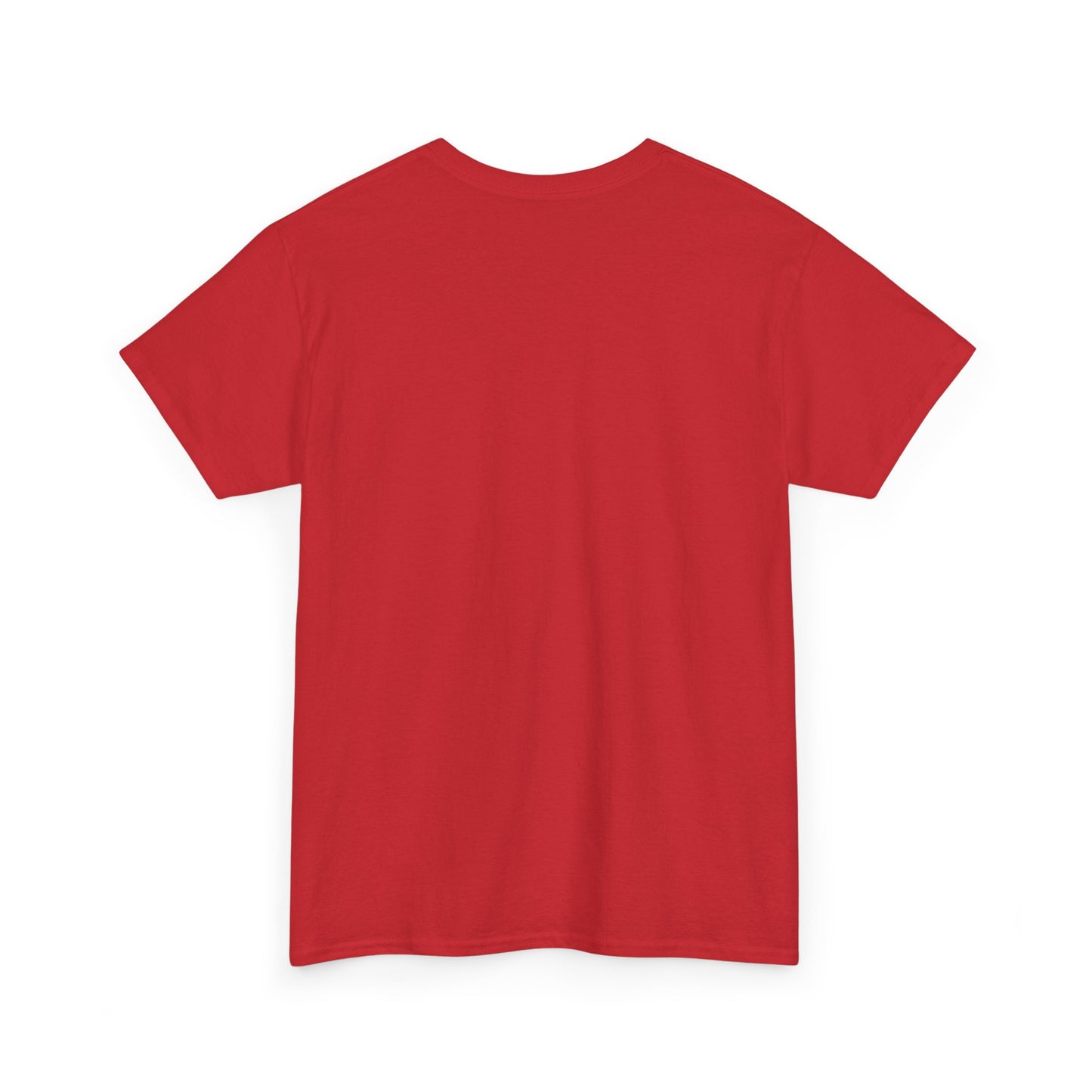 Wish Upon a Whiskey Tee, Musician Gift, Concert Shirt, Birthday Present, Casual Wear