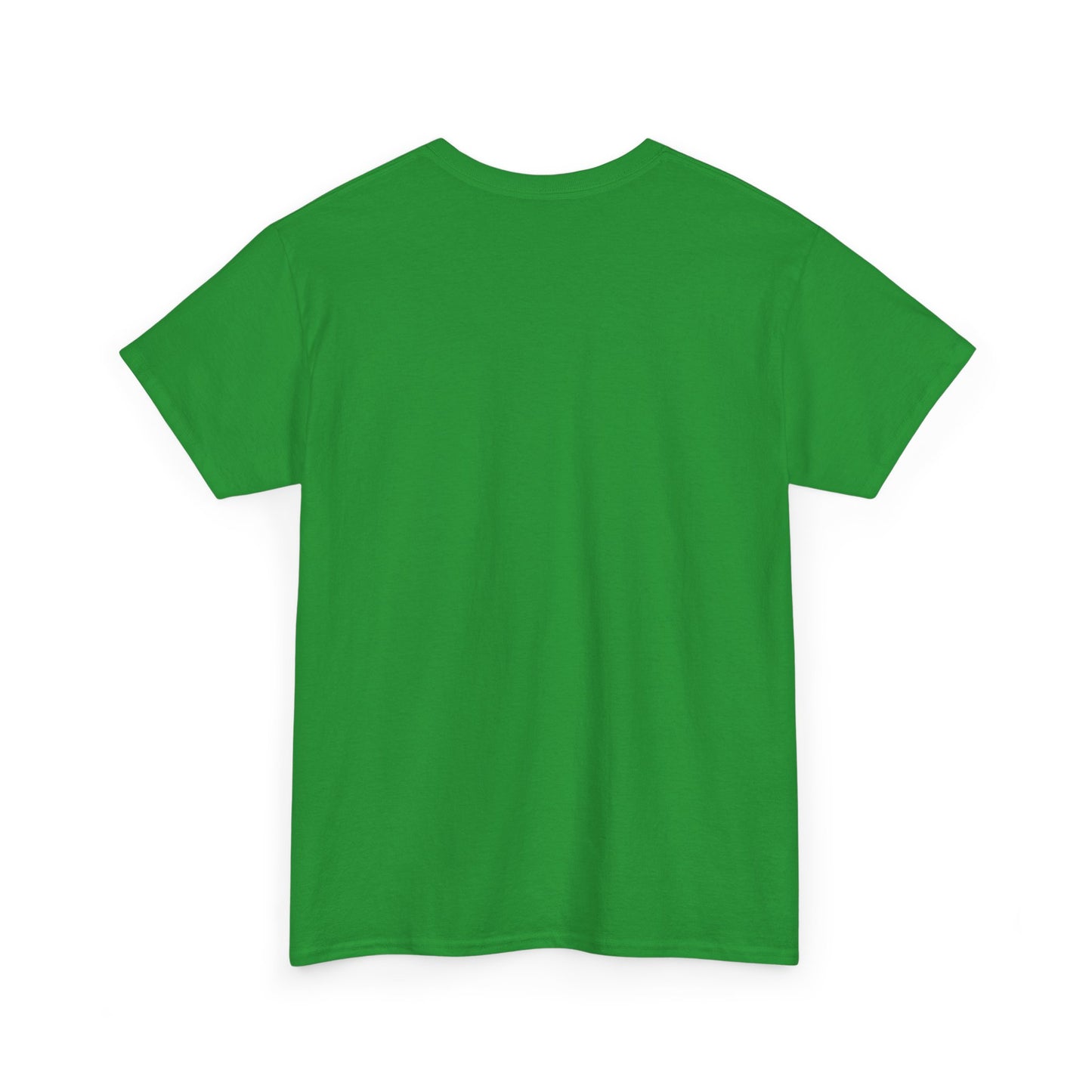 Wish Upon a Whiskey Tee, Musician Gift, Concert Shirt, Birthday Present, Casual Wear