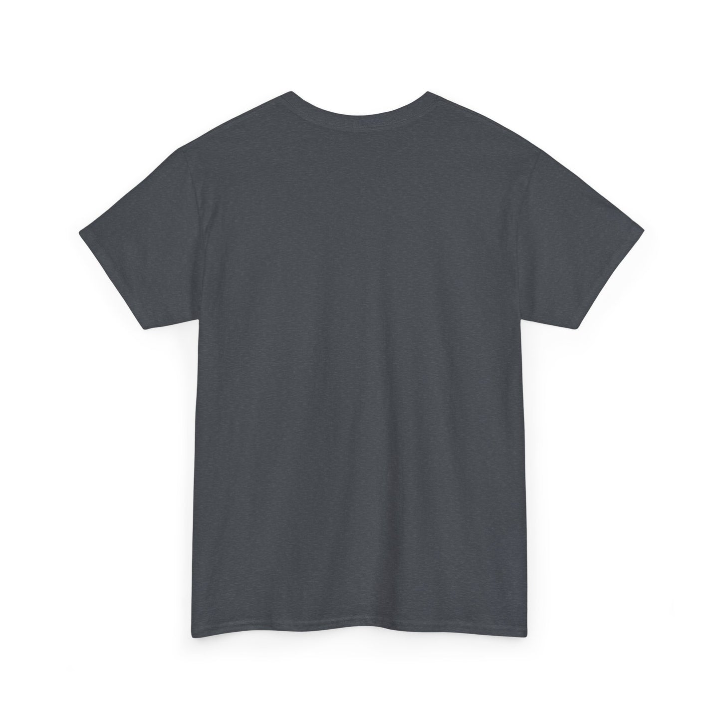 Wish Upon a Whiskey Tee, Musician Gift, Concert Shirt, Birthday Present, Casual Wear