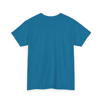 Wish Upon a Whiskey Tee, Musician Gift, Concert Shirt, Birthday Present, Casual Wear